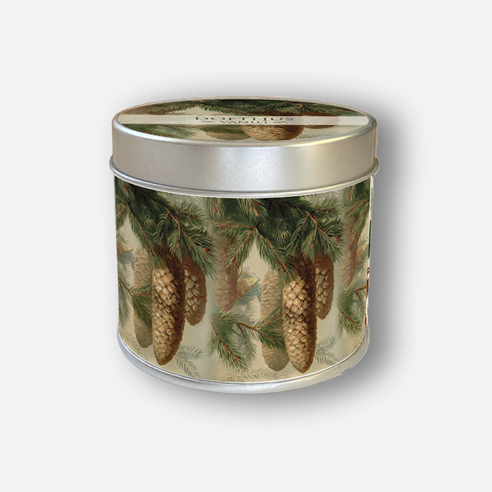 Scented candle "vanilla" Fir cones Jar – Sköna Ting