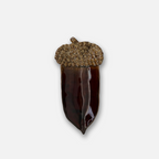 Plate “Acorn” Small – Miljögården